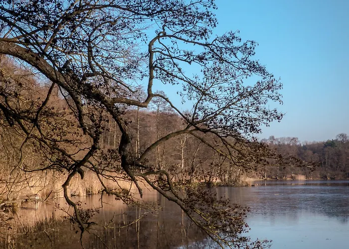 Hotell Gaestehaus 3*