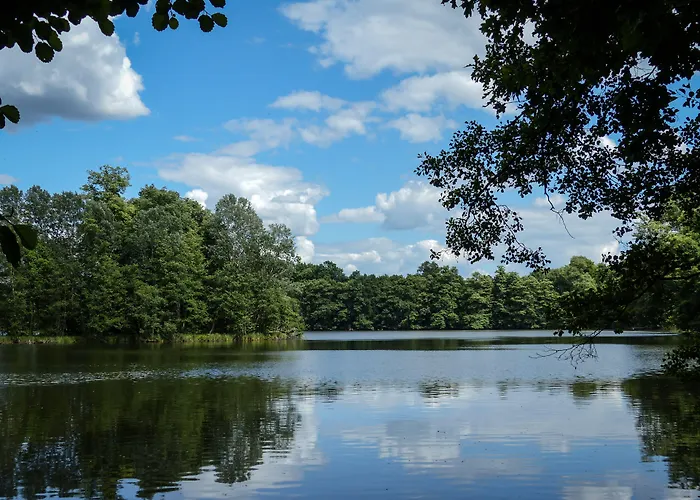 فندق Gaestehaus كورين